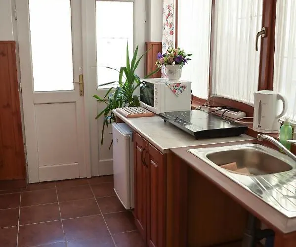 Central Apartman Tokaj